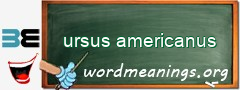 WordMeaning blackboard for ursus americanus